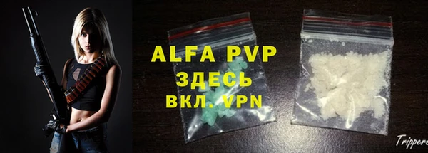 гидра Корсаков