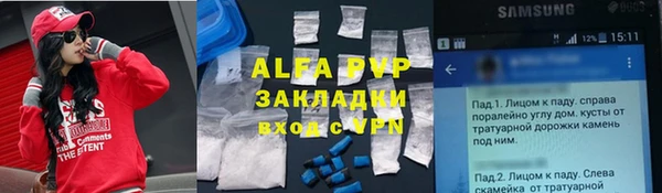 гидра Корсаков
