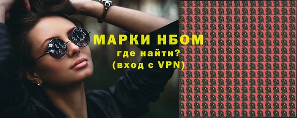 гидра Корсаков