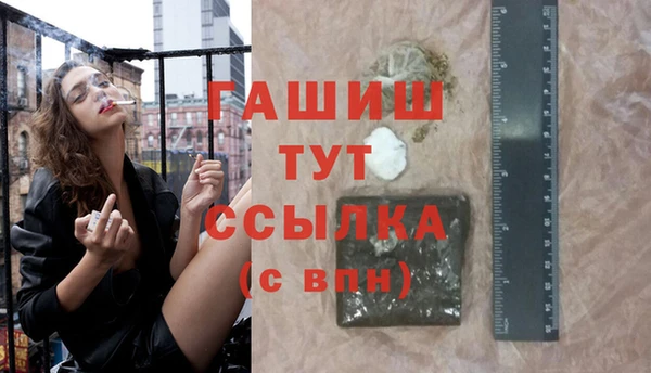 гидра Корсаков