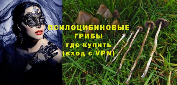 гидра Корсаков