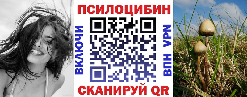 Псилоцибиновые грибы мицелий  Купить где  Медынь 